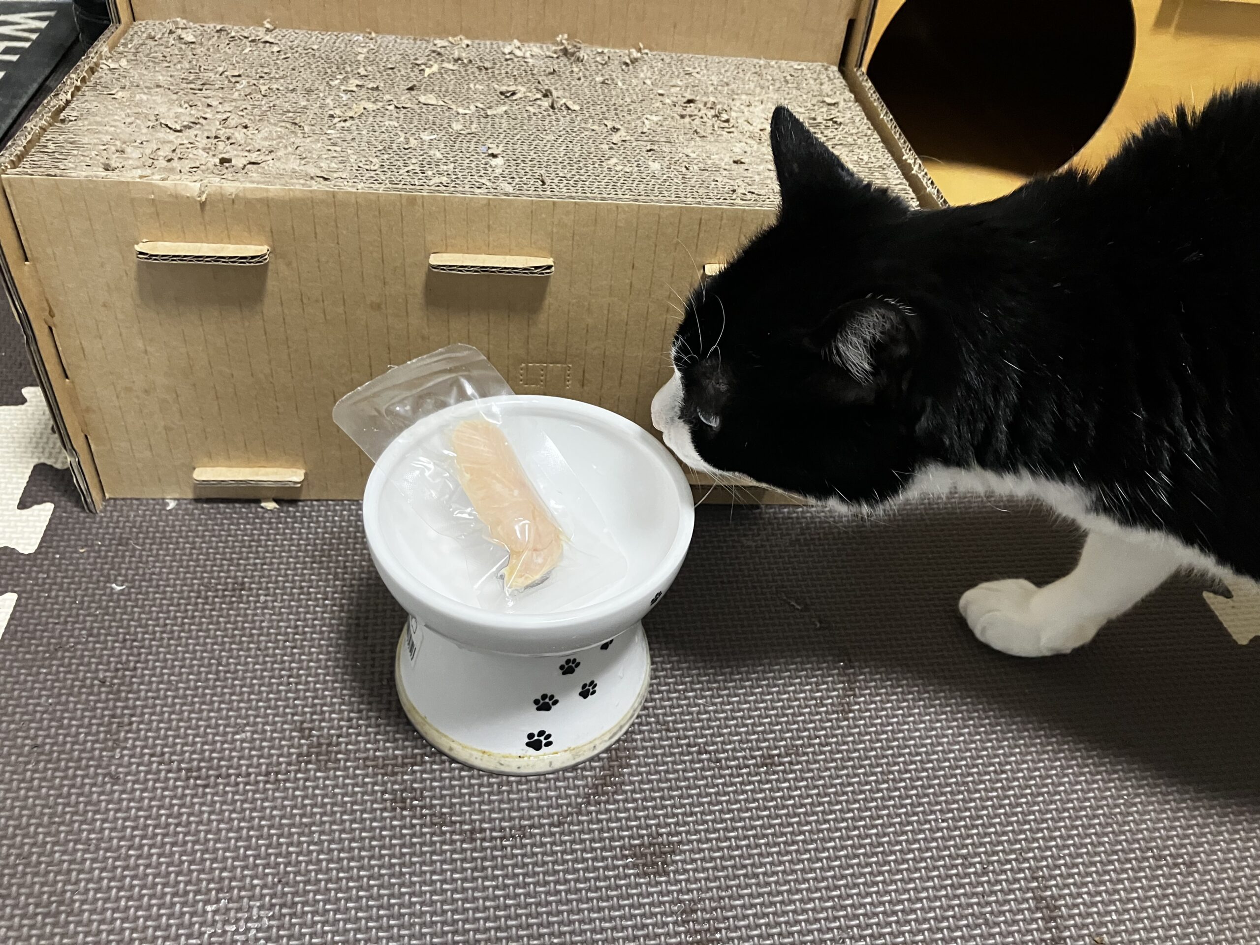 やわらか蒸しささみを確認する猫