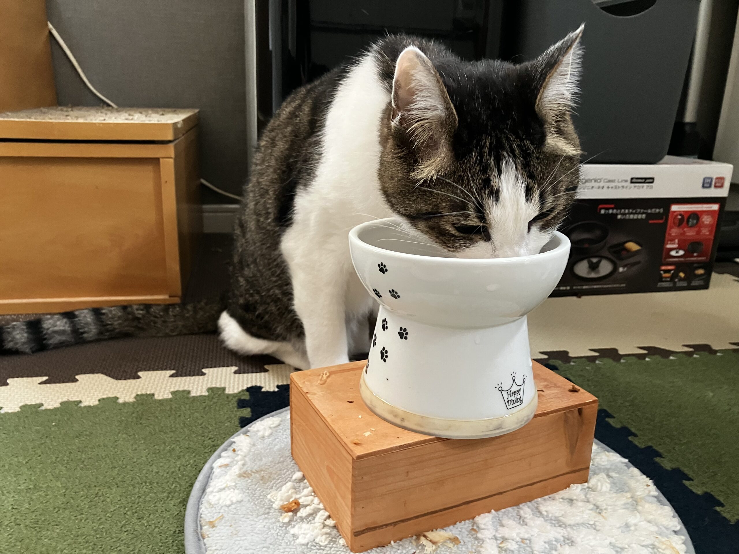 たかんぼの食事風景