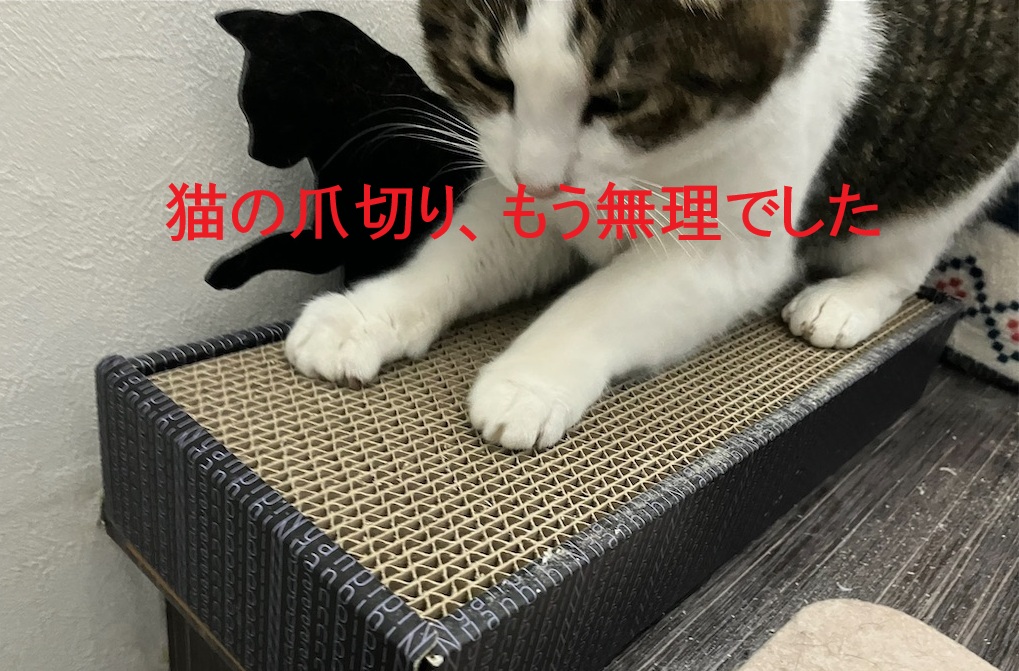bibi Nyan ビビニャン 爪削りボード