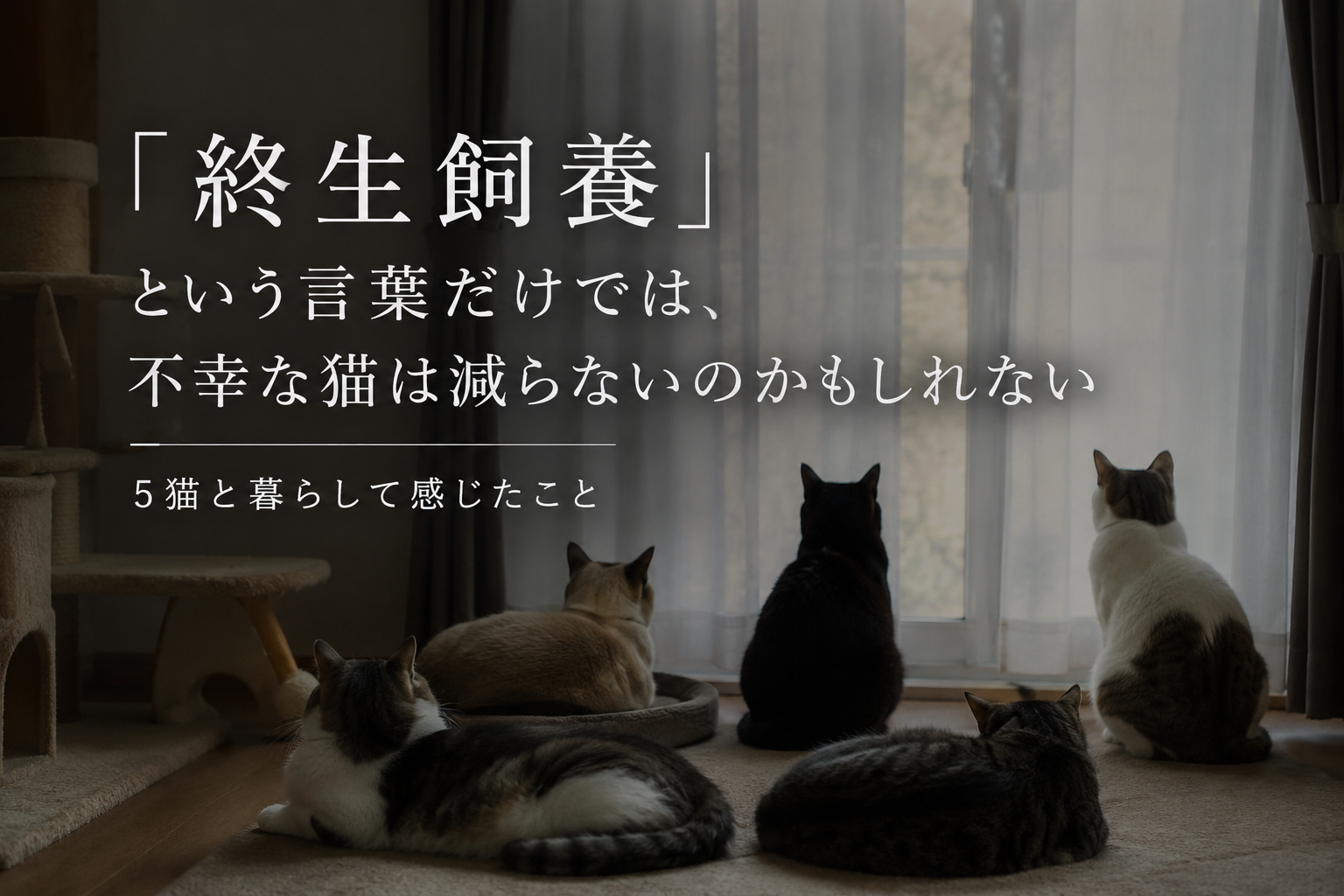 「終生飼養」という言葉だけでは、不幸な猫は減らないのかもしれない｜5猫と暮らして感じたこと