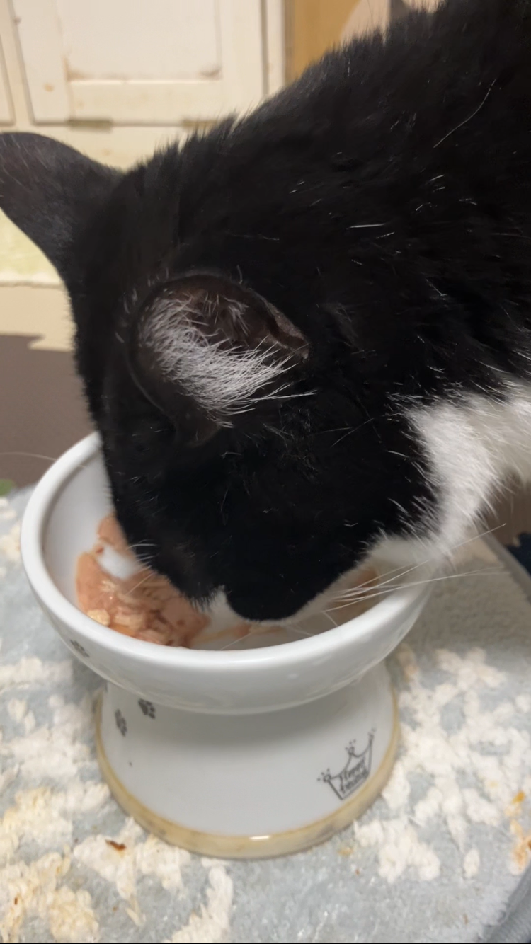 コンボピュアを食べるさんた