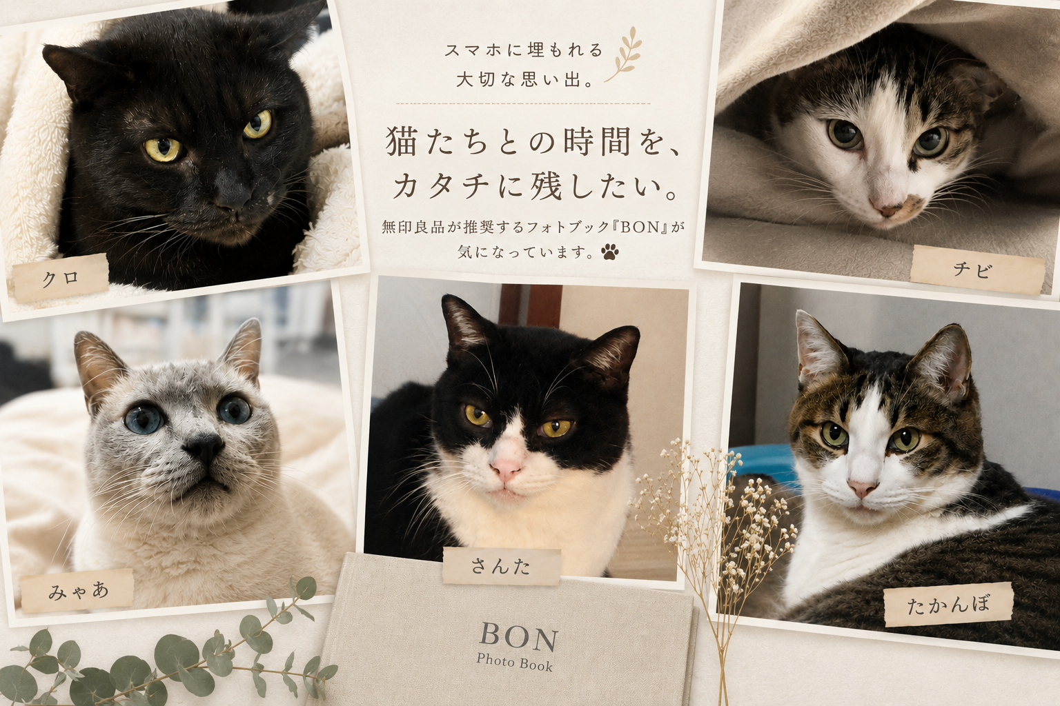 スマホに埋もれる五猫の思い出を、形に残したい｜無印良品推奨フォトブック「BON」が気になっています