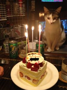 R.I.P. チビ_32か月