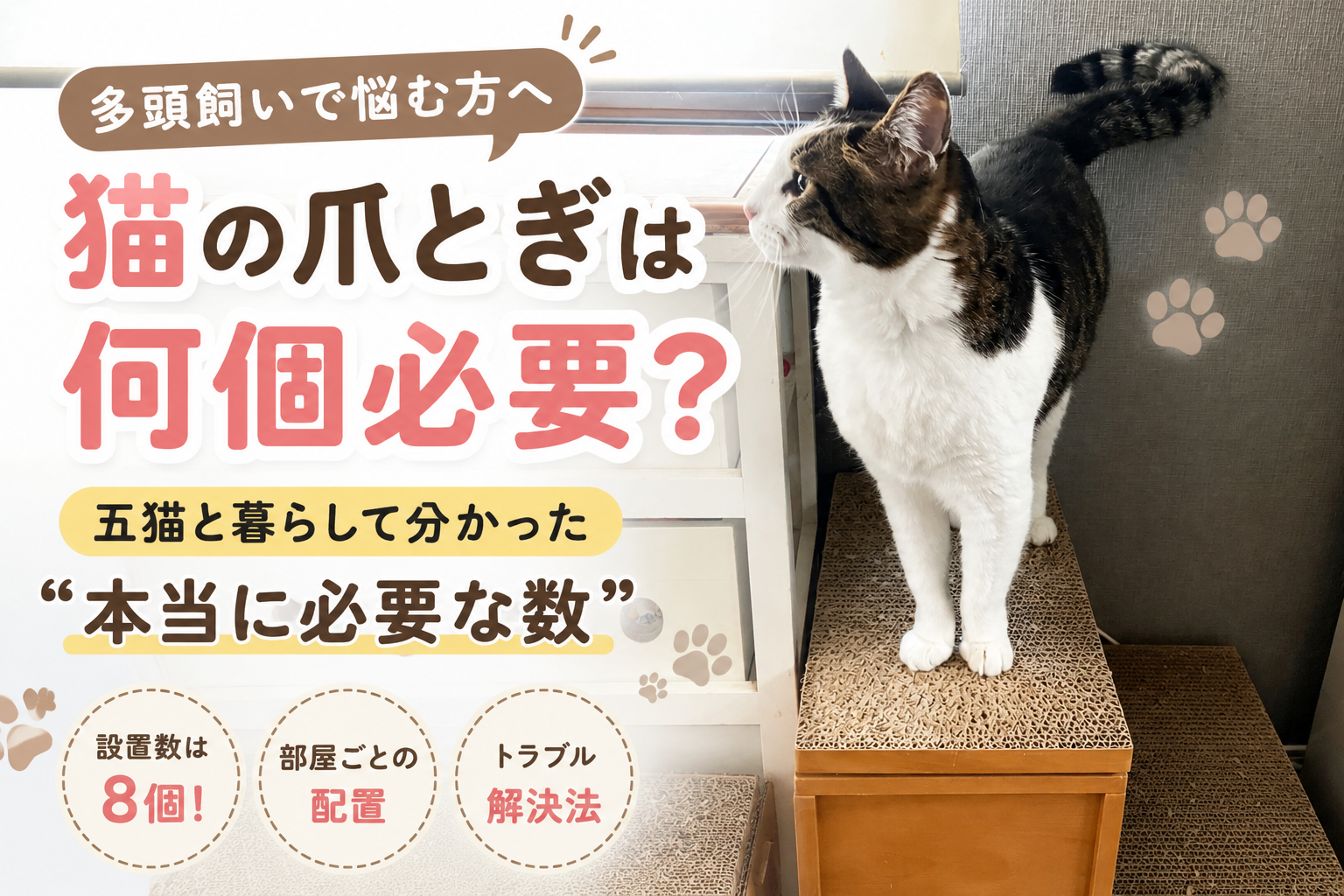 多頭飼いで猫の爪とぎは何個必要？五猫と暮らして分かった本当に必要な数
