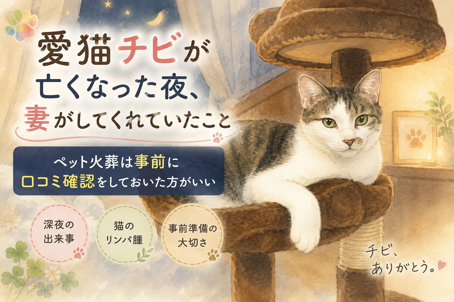 愛猫チビが亡くなった夜、妻がしてくれていたこと｜ペット火葬は事前に口コミ確認をしておいた方がいい
