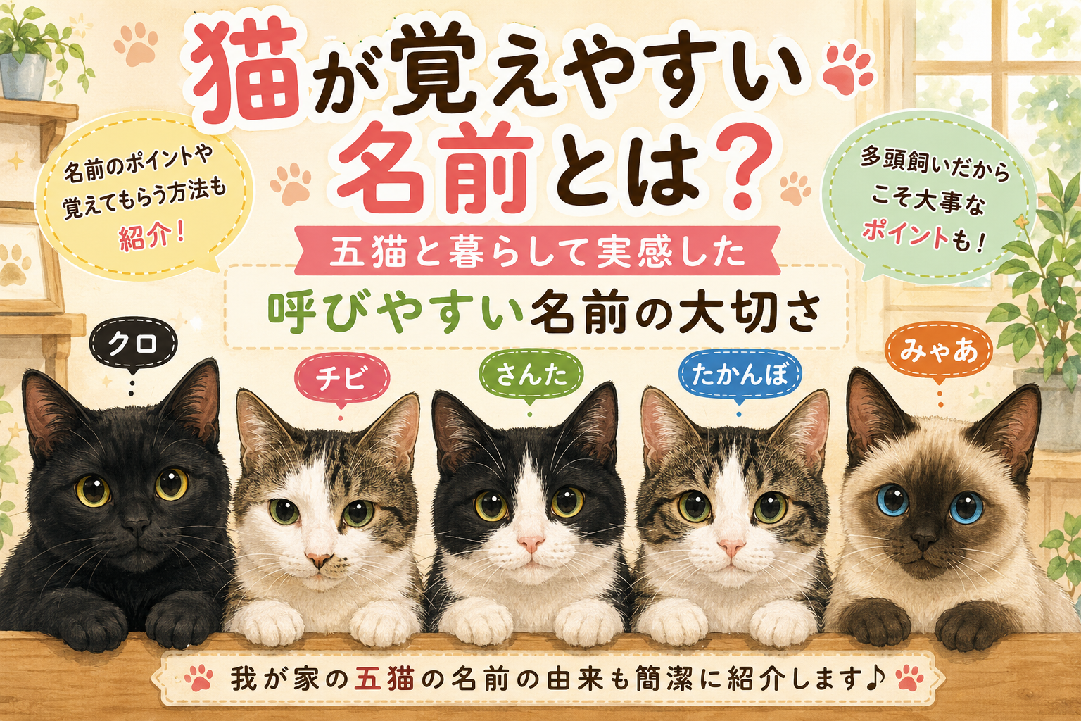 猫が覚えやすい名前とは？五猫と暮らして実感した「呼びやすい名前」の大切さ
