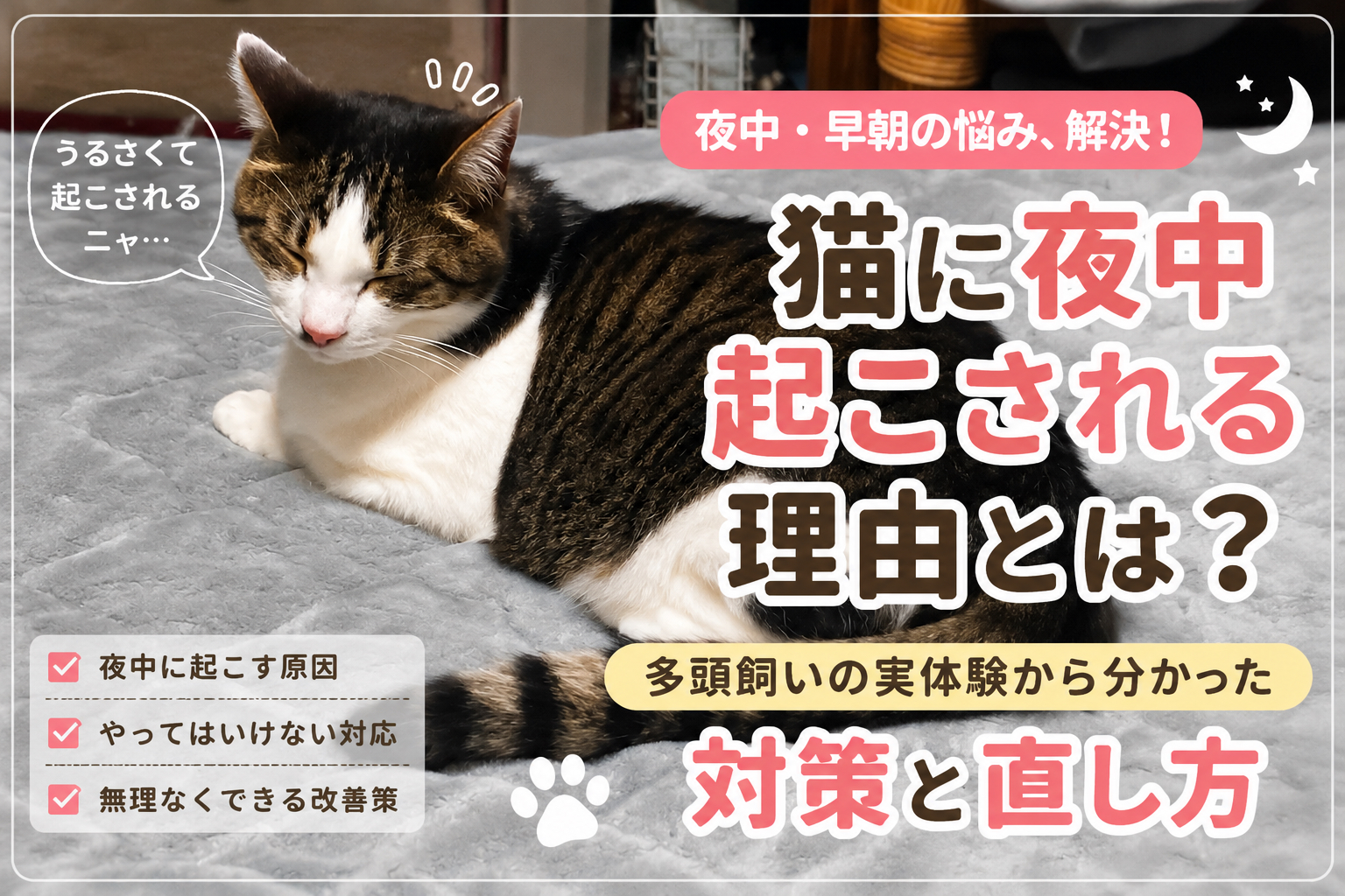 猫に夜中起こされる理由とは？やめさせる前に知るべき原因と対策