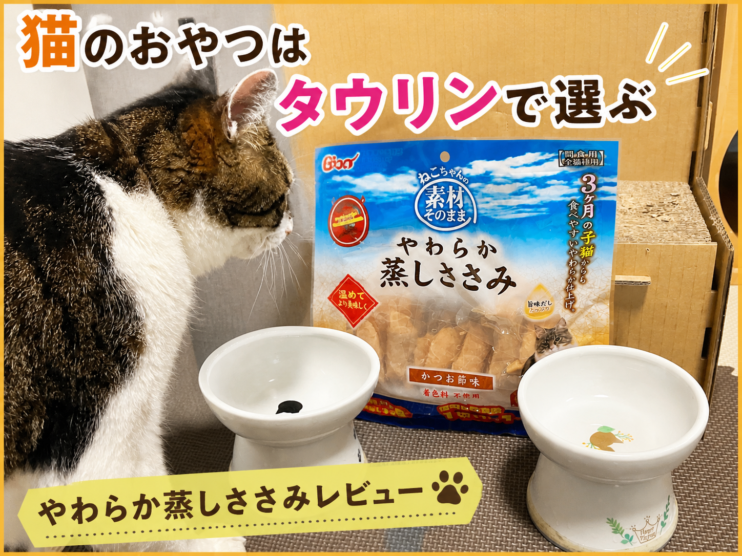 猫のおやつレビューと新商品紹介