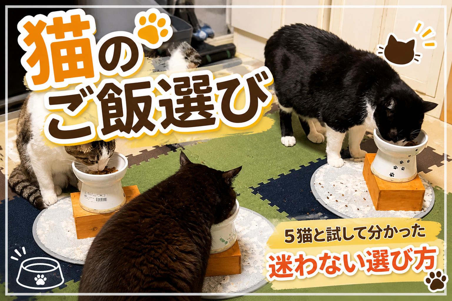猫のご飯選び