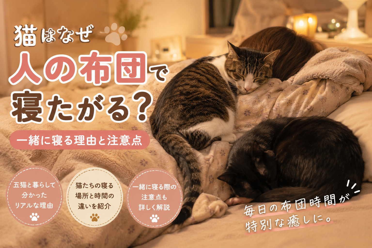 猫はなぜ人の布団で寝たがる？一緒に寝る理由と注意点｜五猫との実体験
