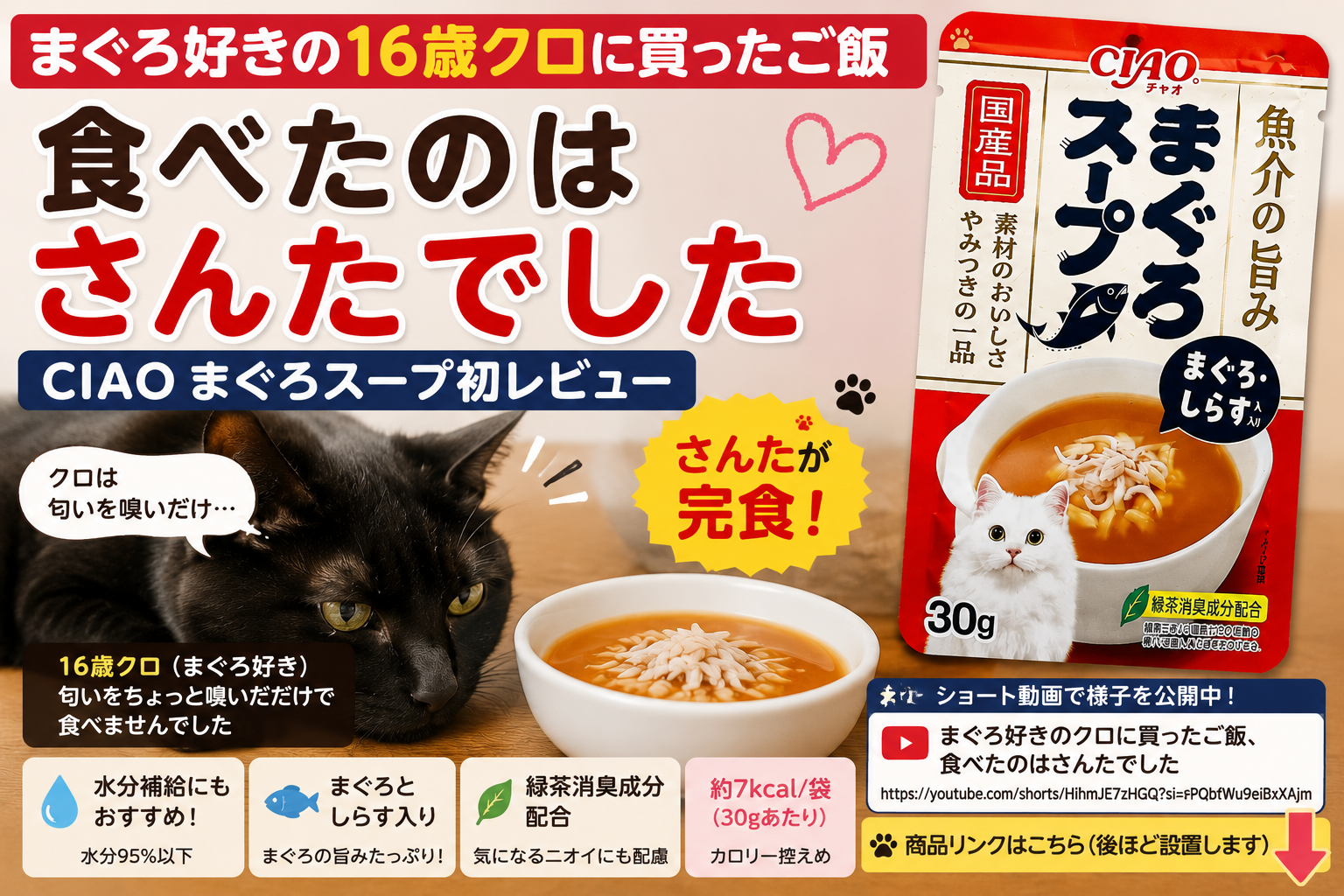まぐろ好きの16歳クロに買ったご飯、食べたのはさんたでした｜CIAO まぐろスープ初レビュー