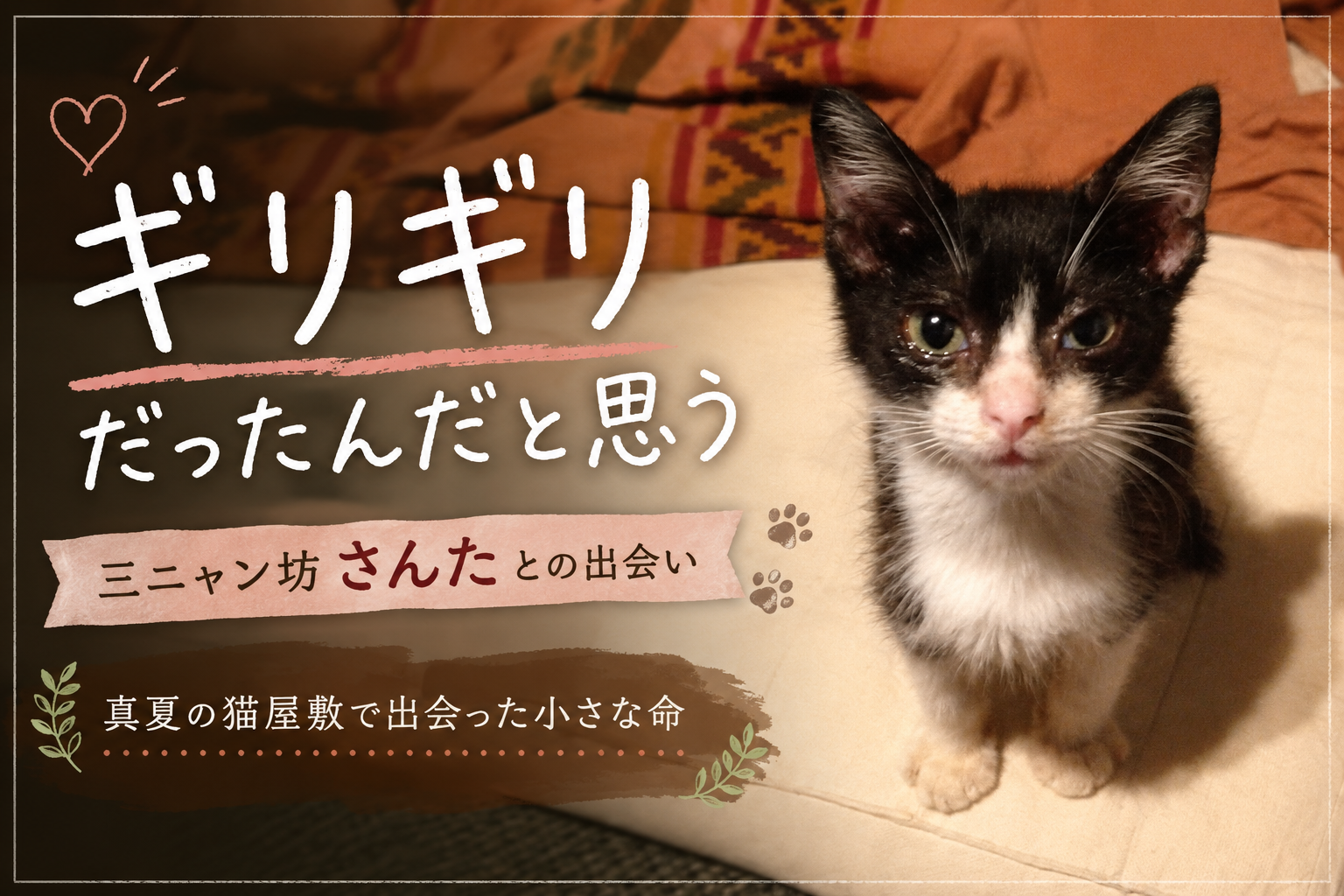 ギリギリだったんだと思う｜三ニャン坊さんたとの出会い