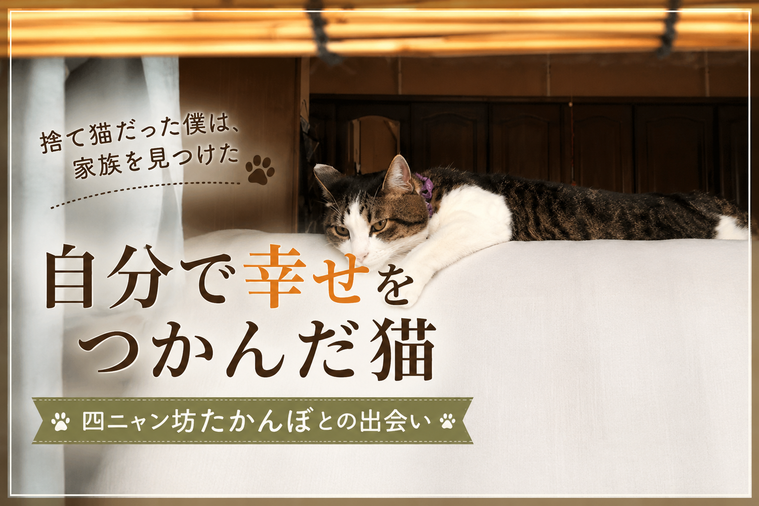 自分で幸せをつかんだ猫｜四ニャン坊たかんぼとの出会い