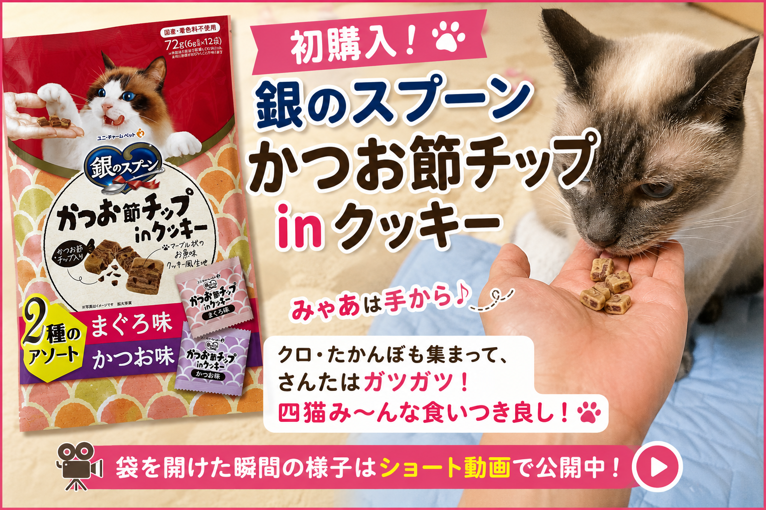 銀のスプーン かつお節チップinクッキーを初めて買ってみた｜みゃあは手から、クロ・たかんぼ・さんたも夢中でした