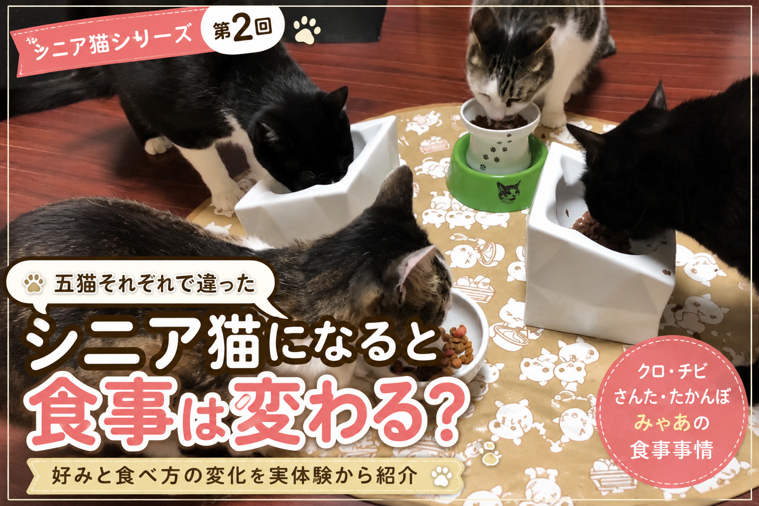 五猫それぞれで違った食の好み｜シニアになっても変わらないこと、変わること