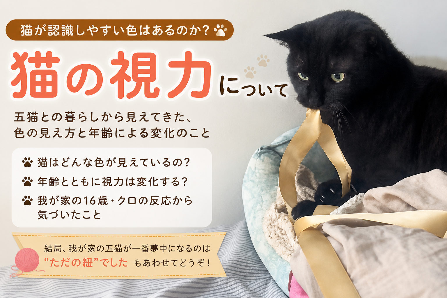 猫が認識しやすい色はあるのか？16歳クロが夢中になった“肌色の紐”から考えた猫の視力