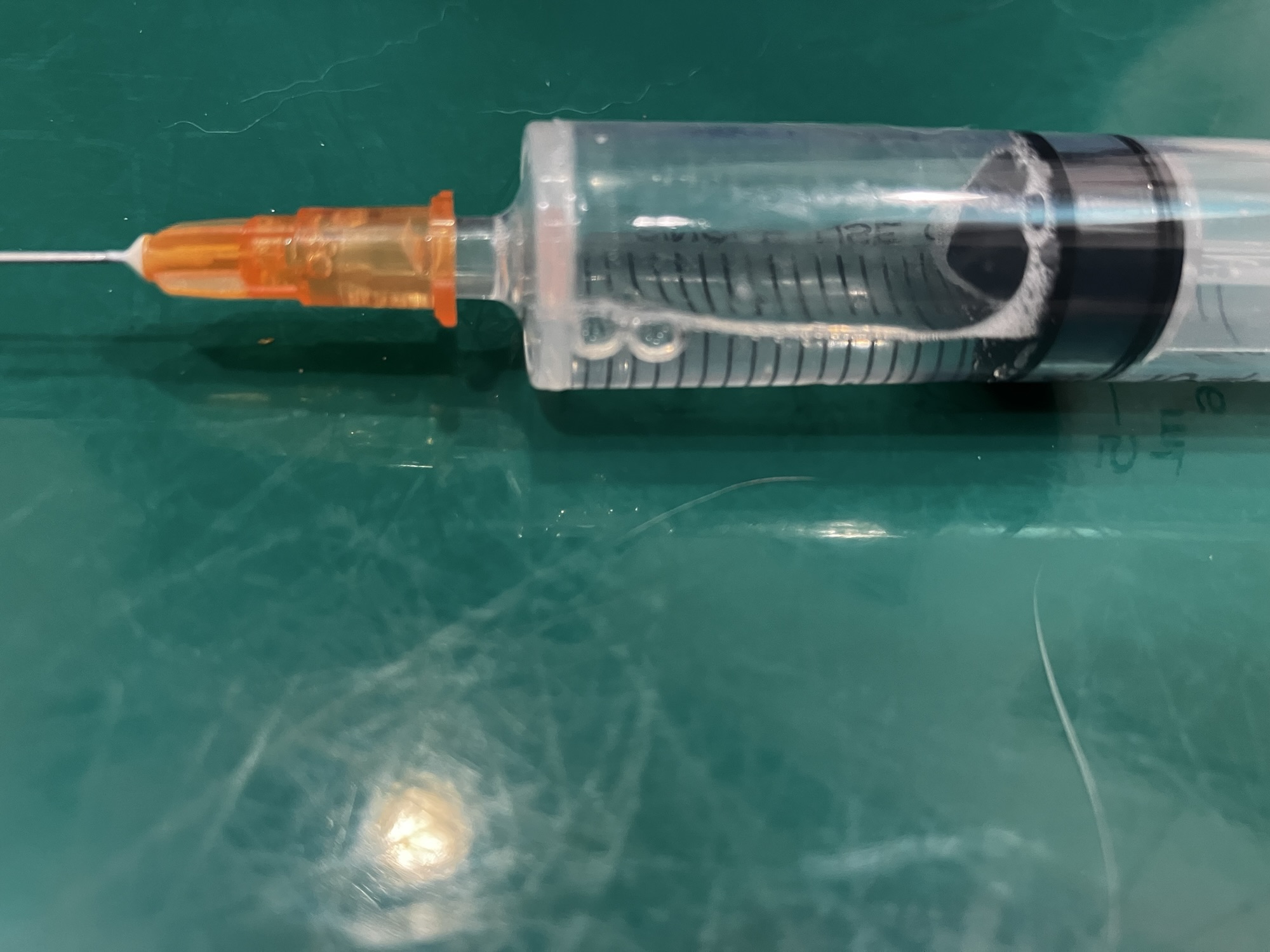 みゃあの背中の水疱から抜いた透明な液体