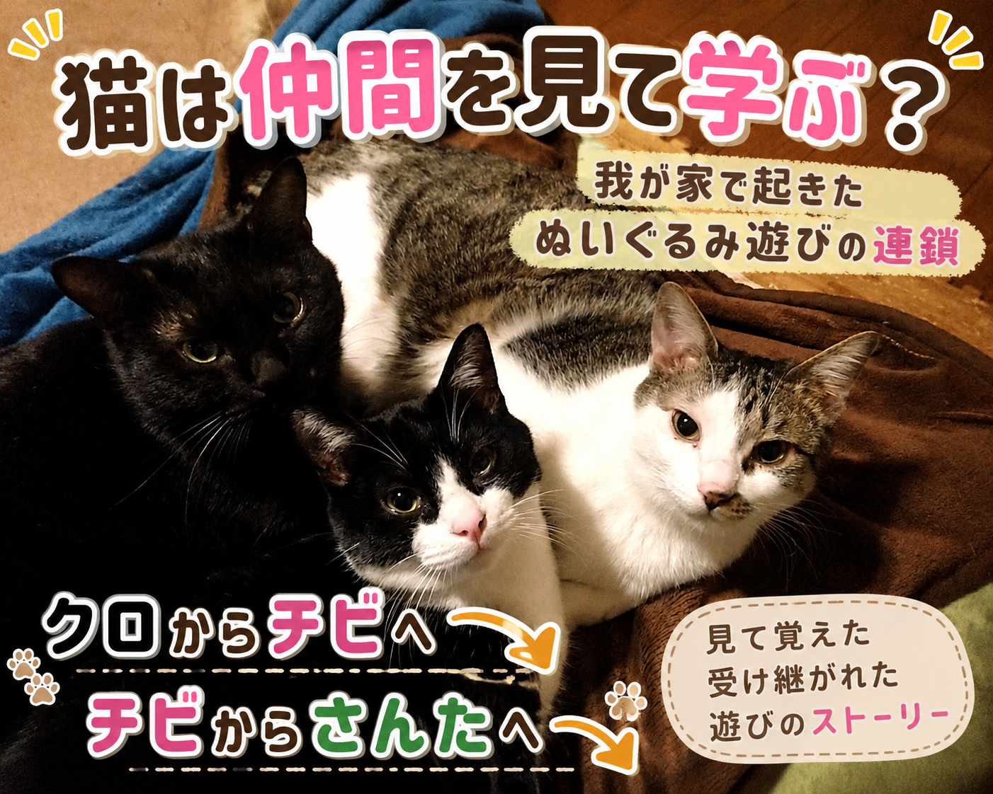 「猫は他の猫を見て学ぶ？多頭飼いの我が家で起きた『ぬいぐるみ遊び』の連鎖」