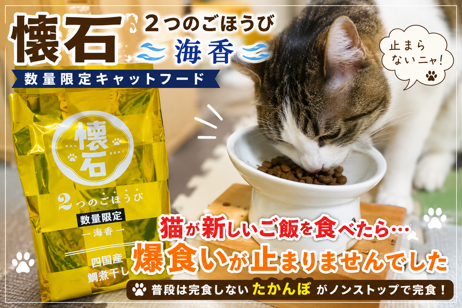 懐石「2つのごほうび 海香」を猫にあげてみた！普段は完食しないたかんぼが爆食いしたレビュー