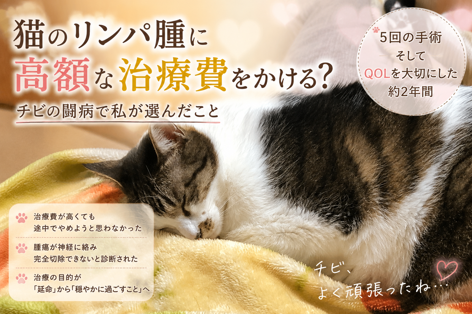 猫のリンパ腫に高額な治療費をかける？チビの闘病で私が選んだこと