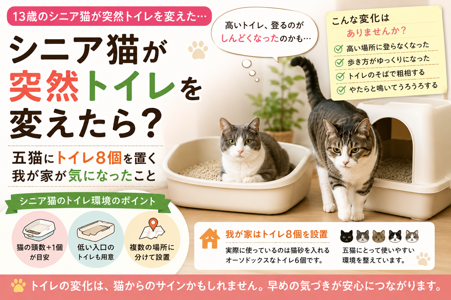 シニア猫が突然トイレを変えたら？五猫にトイレ8個を置く我が家が気になったこと