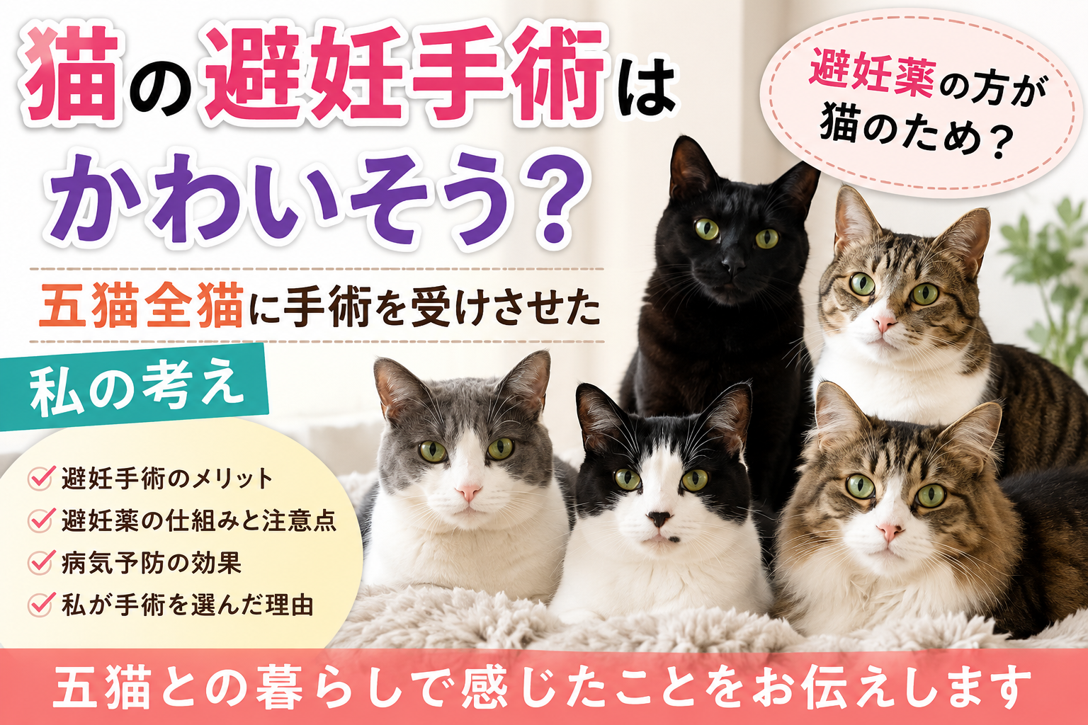 猫の避妊手術はかわいそう？避妊薬ではダメなのか、五猫全猫に手術を受けさせた私の考え