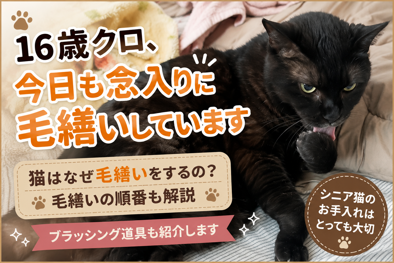 16歳クロ、今日も念入りに毛繕い｜猫はなぜ毛繕いをするの？ブラッシング道具も紹介