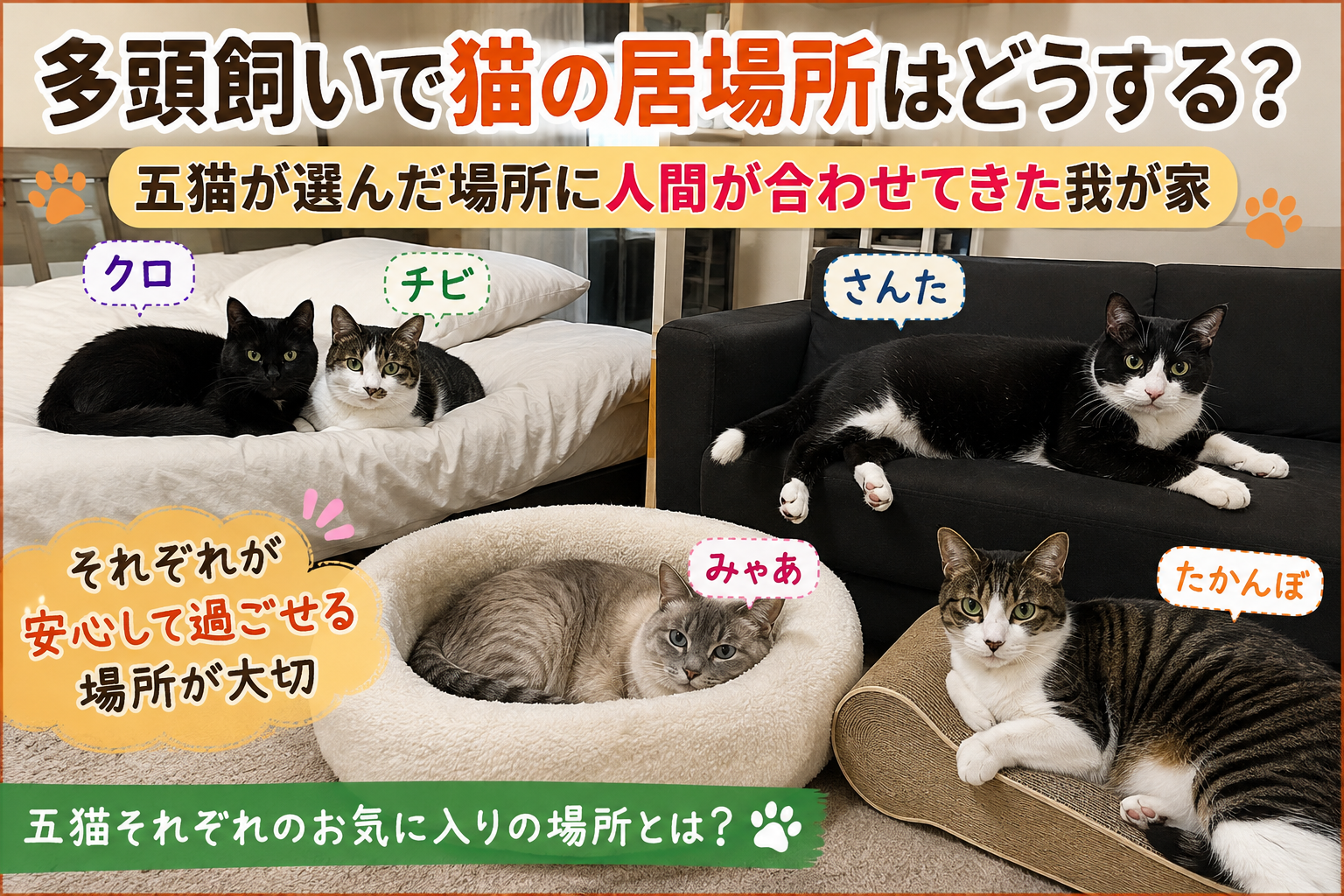 多頭飼いで猫の居場所はどうする？五猫が選んだ場所に人間が合わせてきた我が家