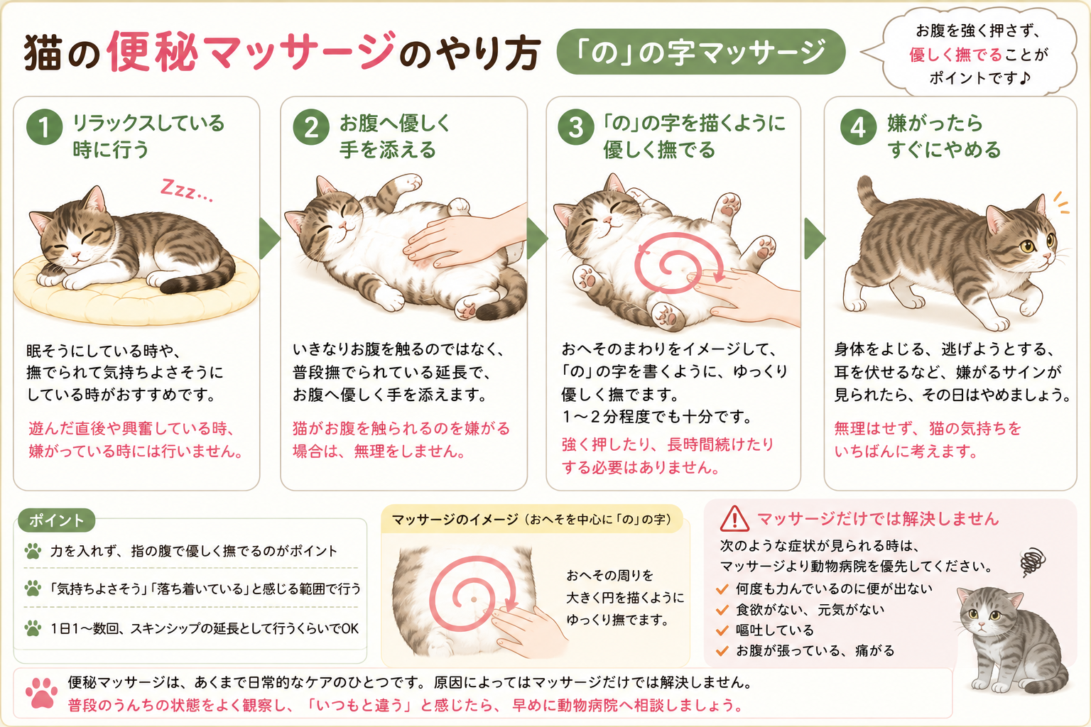 猫の便秘マッサージ のの字のやり方