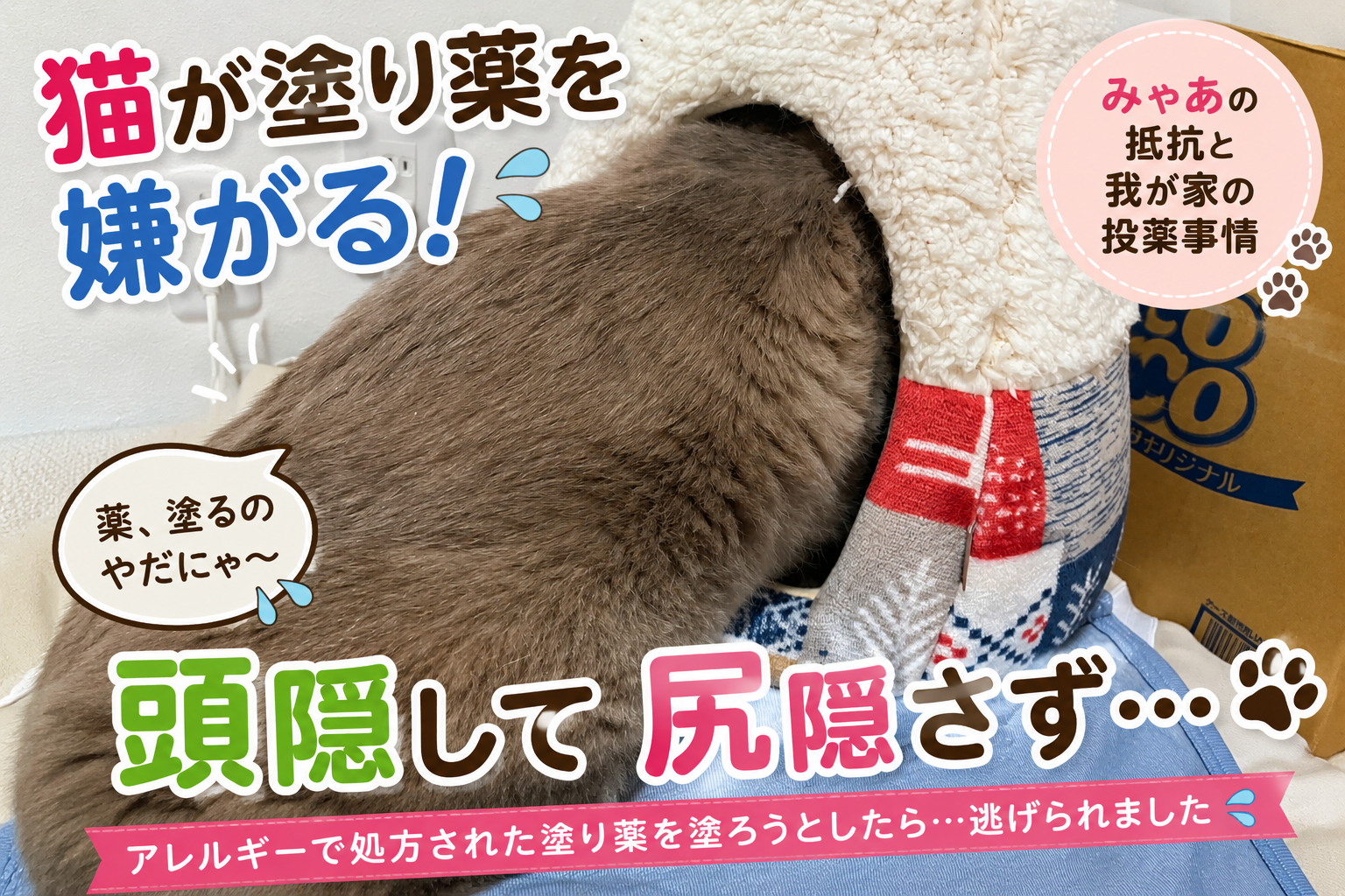 猫が塗り薬を嫌がる！頭隠して尻隠さず…逃げるみゃあに薬を塗る我が家の実体験