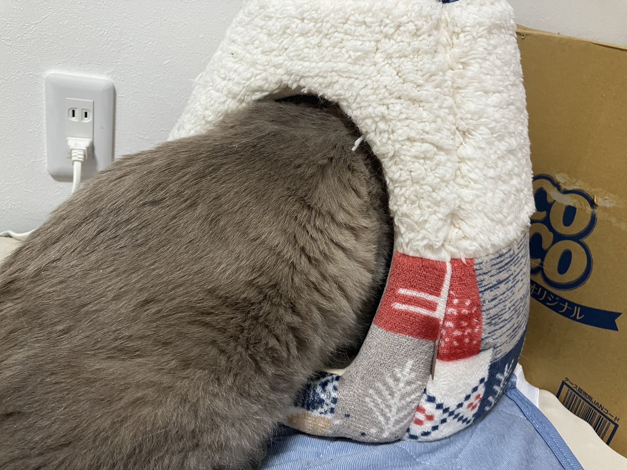 塗り薬を嫌がり猫ベッドに頭を隠すみゃあ