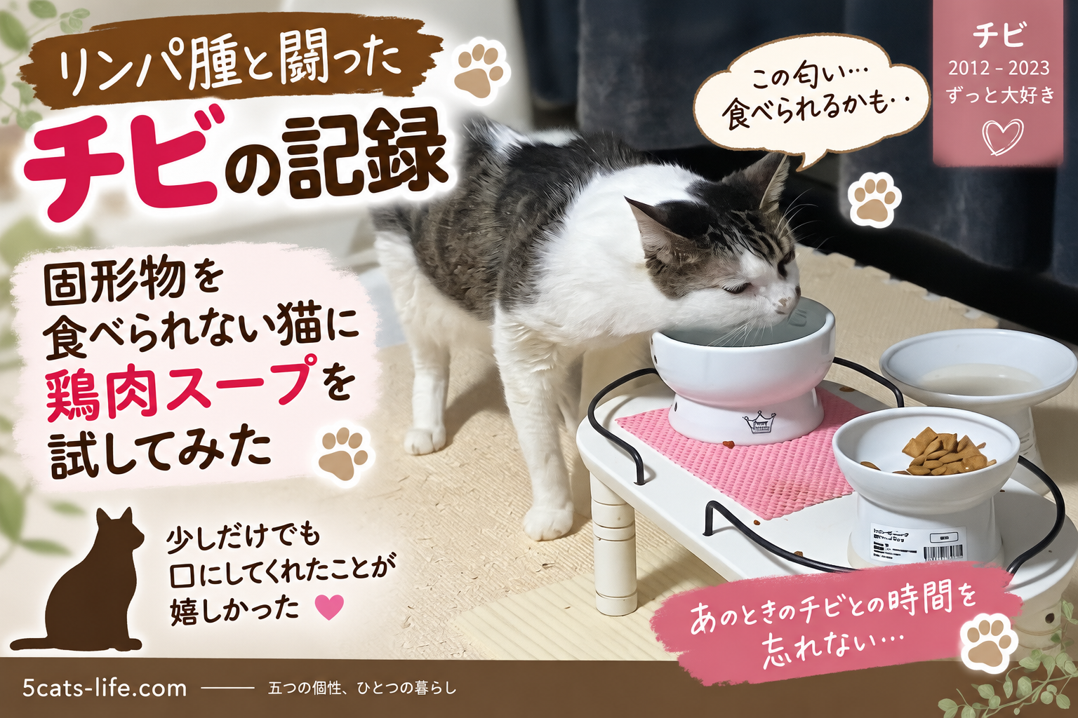 固形物を食べられない猫に鶏肉スープを試した記録｜リンパ腫と闘ったチビが少しだけ口にしてくれた