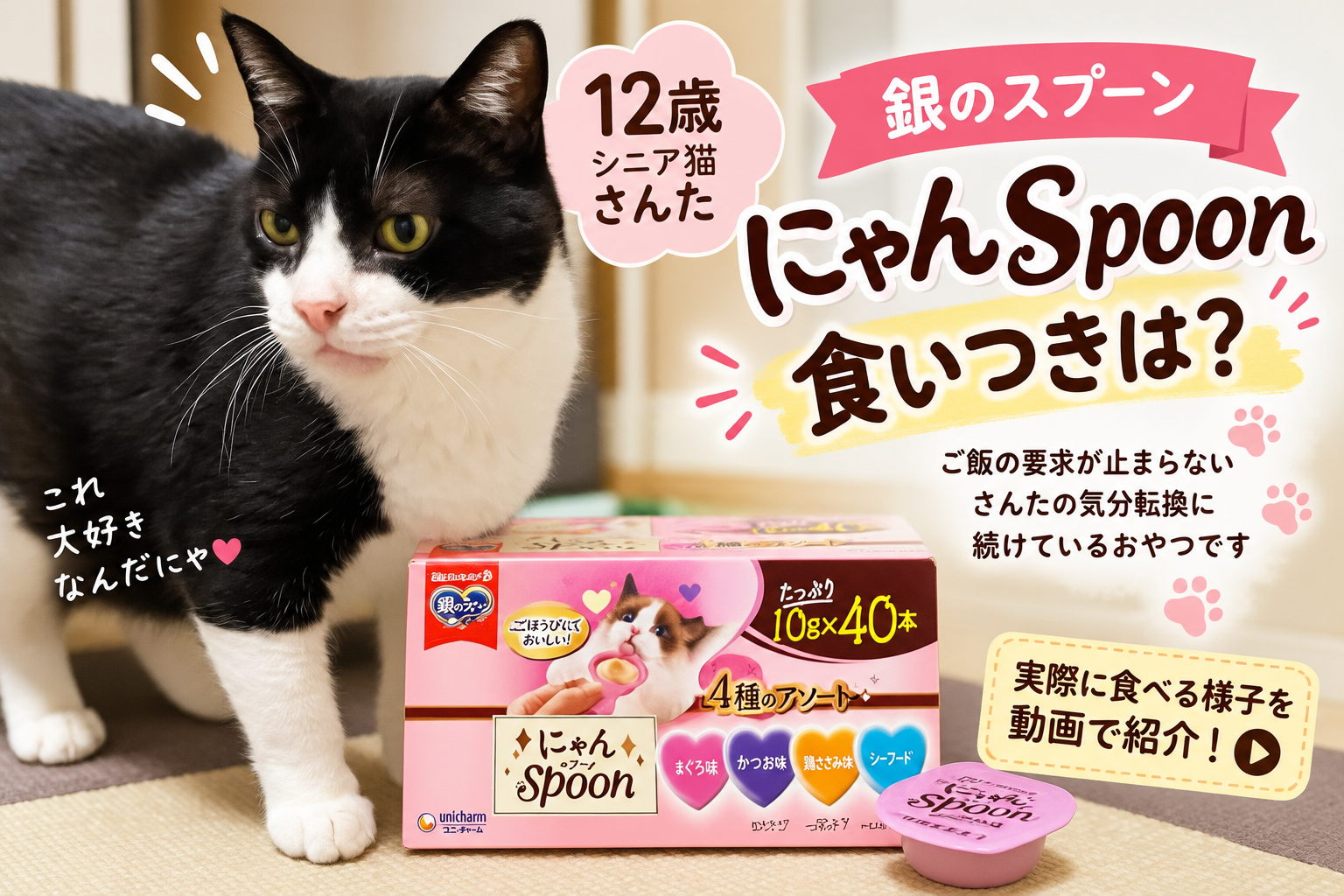 銀のスプーン「にゃんSpoon」の食いつきは？12歳シニア猫さんたが継続して食べている感想