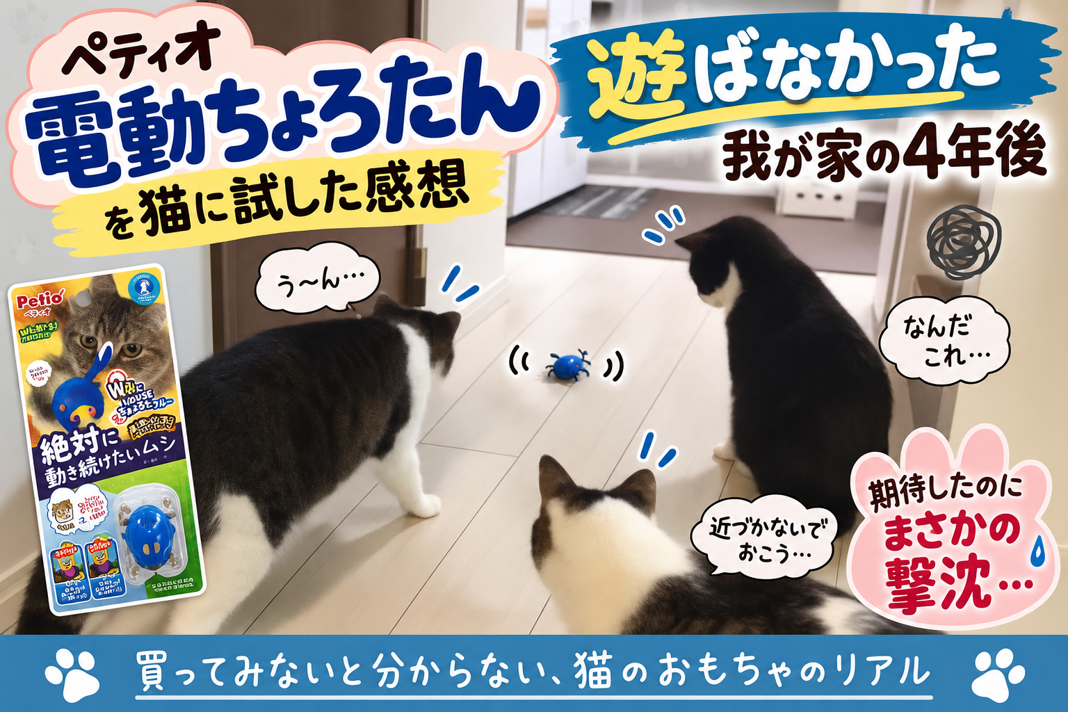 ペティオ「電動ちょろたん」を猫に試した感想｜遊ばなかった我が家の4年後