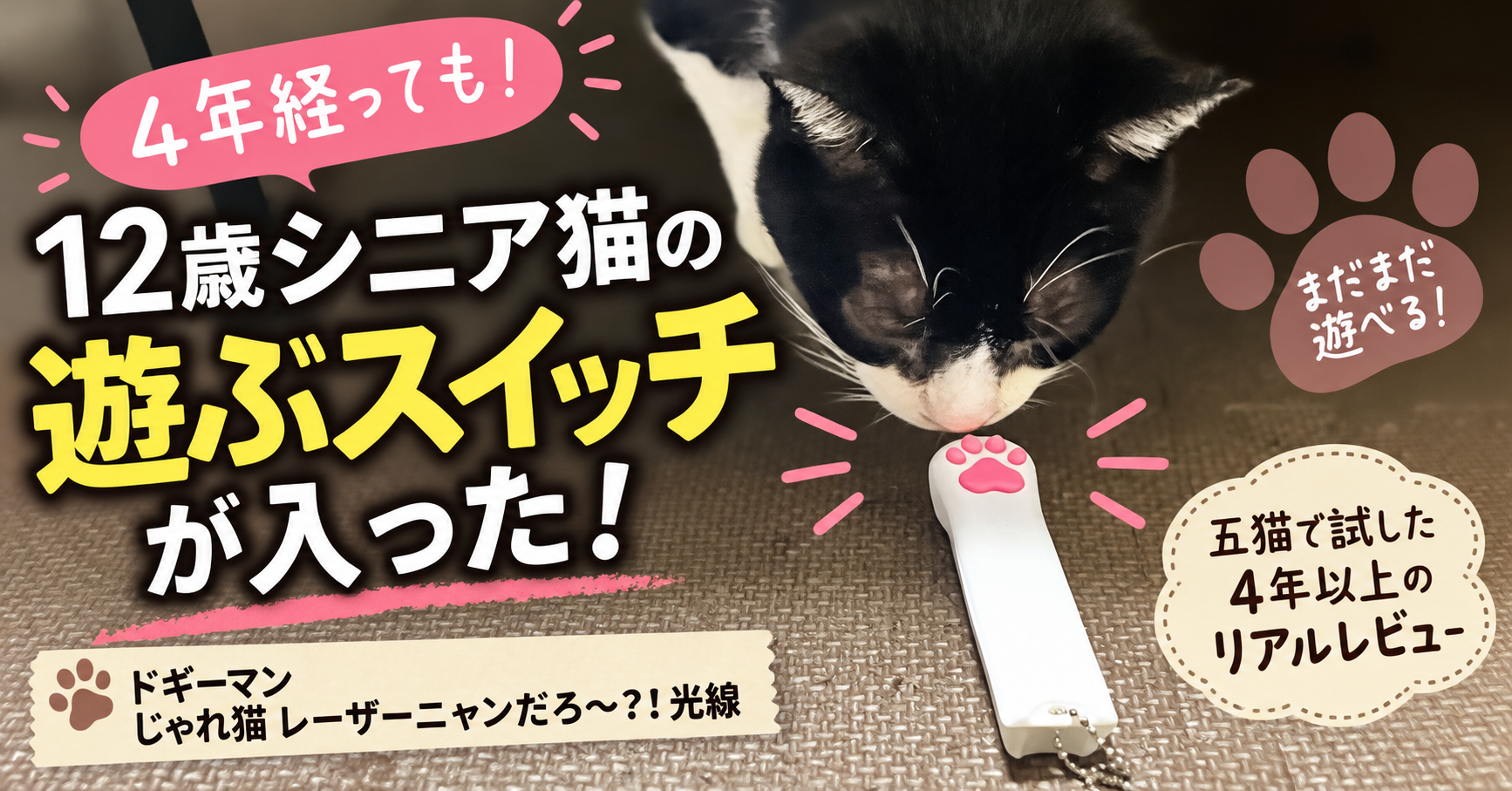 猫はレーザーポインターに飽きる？購入4年後も12歳シニア猫が大興奮｜五猫で試した結果