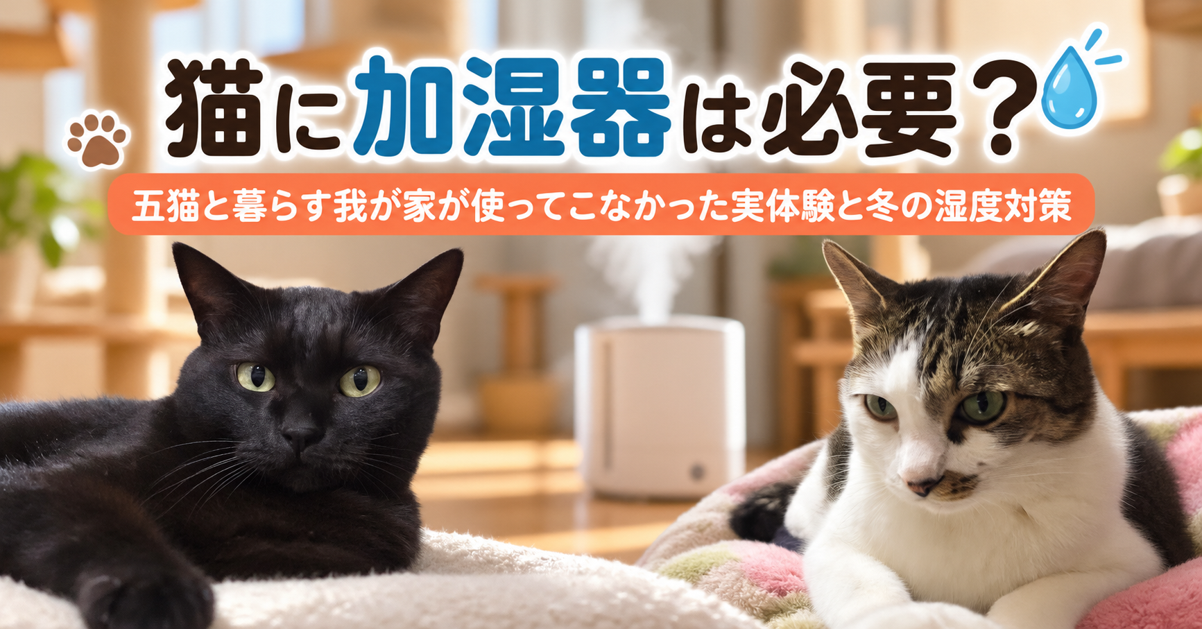 猫に加湿器は必要？五猫と暮らす我が家が使ってこなかった実体験と冬の湿度対策