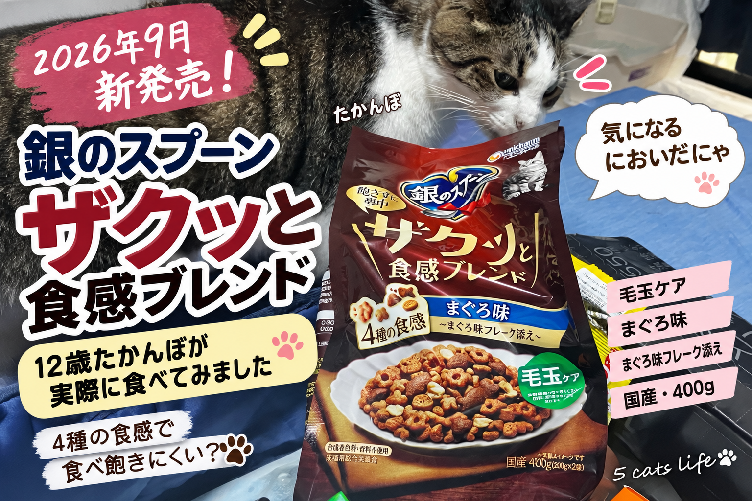 新発売「銀のスプーン ザクッと食感ブレンド」を12歳猫が実食｜たかんぼの食いつきをレビュー