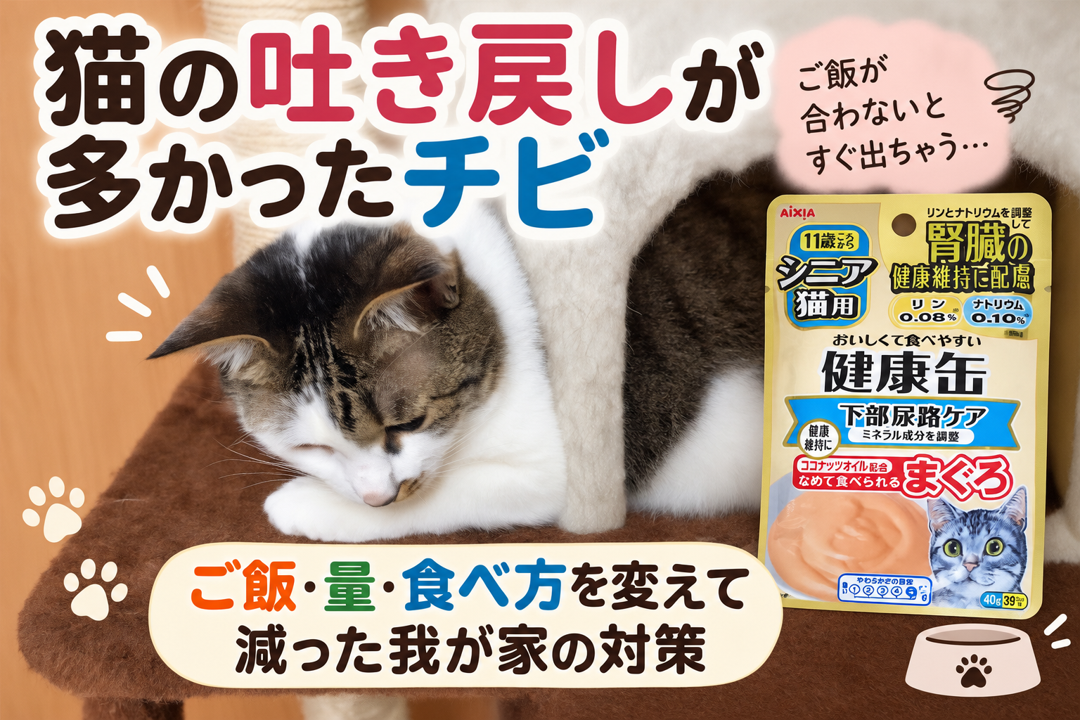 猫の吐き戻しが多かったチビ｜ご飯・量・食べ方を変えて減った我が家の対策