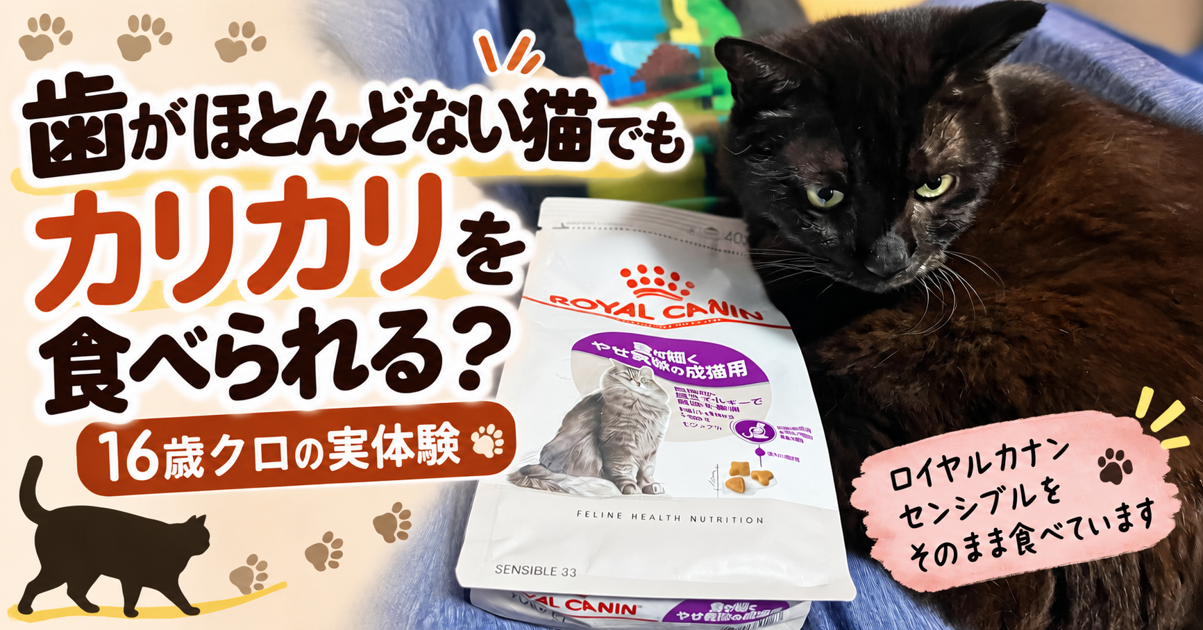 歯がほとんどない猫はカリカリを食べられる？16歳クロが普通にドライフードを食べている実体験