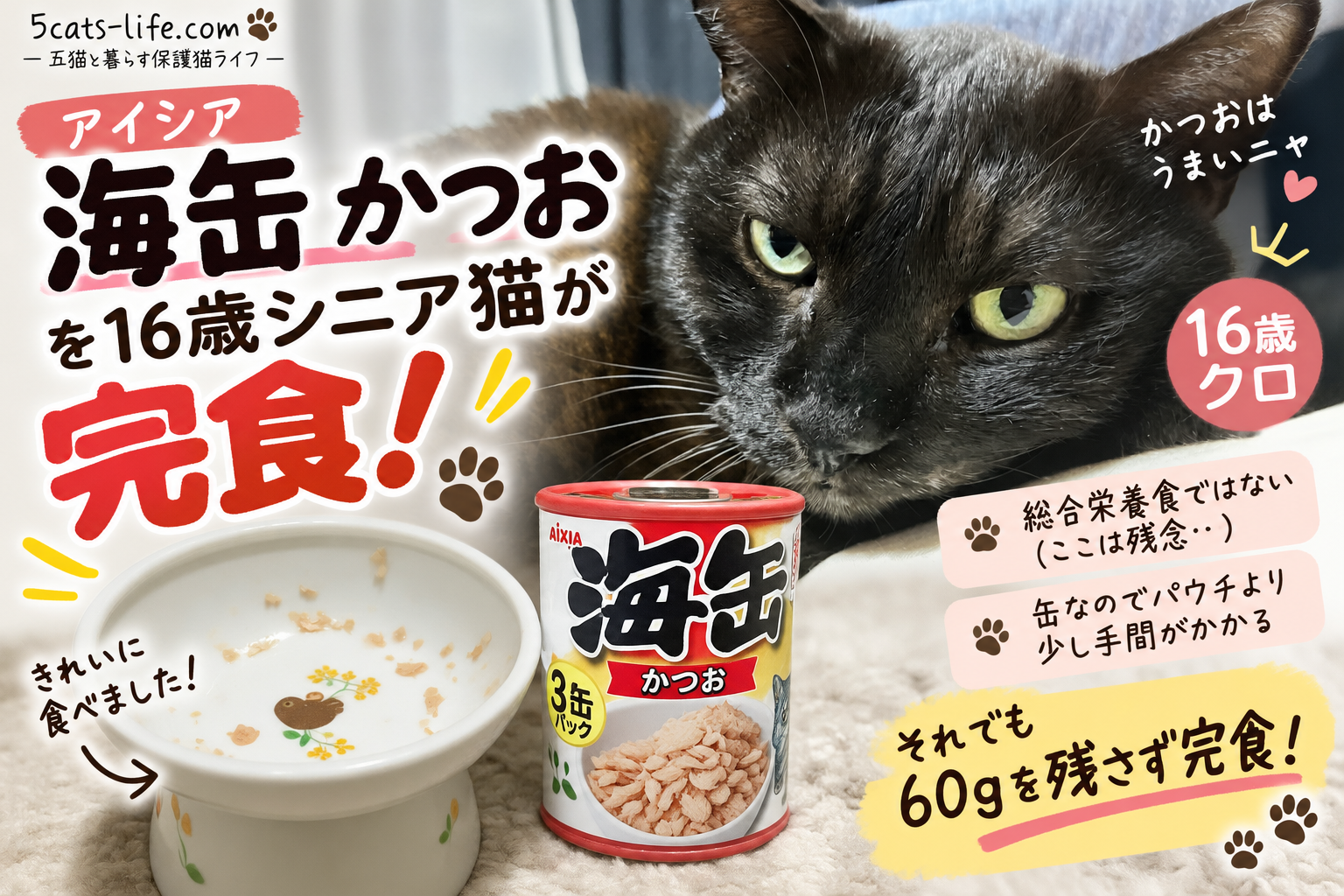 アイシア「海缶 かつお」を16歳シニア猫が完食｜60g食べ切ったクロの食いつきをレビュー