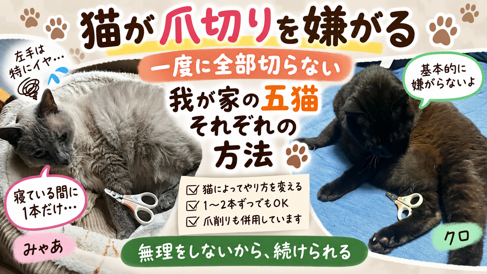 猫が爪切りを嫌がる｜一度に全部切らない我が家の五猫それぞれの方法