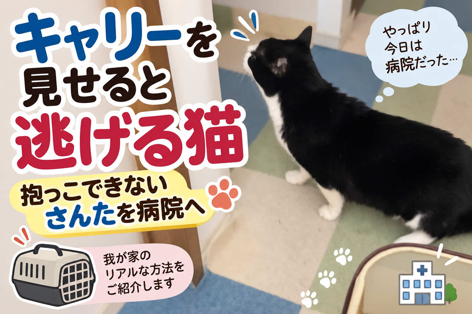 キャリーを見せると逃げる猫を病院へ｜抱っこできないさんたを連れて行く我が家の方法