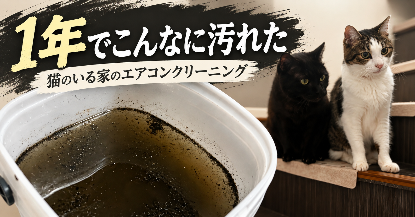 エアコンクリーニングから1年で洗浄水が真っ黒に｜作業の日、さんたは隠れクロとたかんぼは階段へ