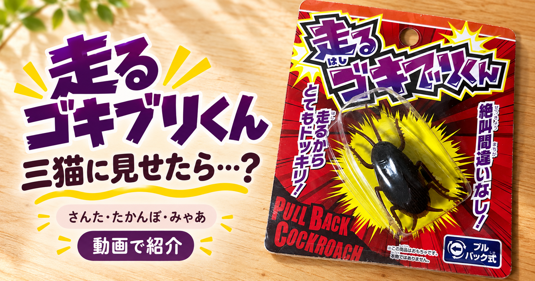 猫に「走るゴキブリくん」を久しぶりに見せたら？三猫の反応を動画で紹介