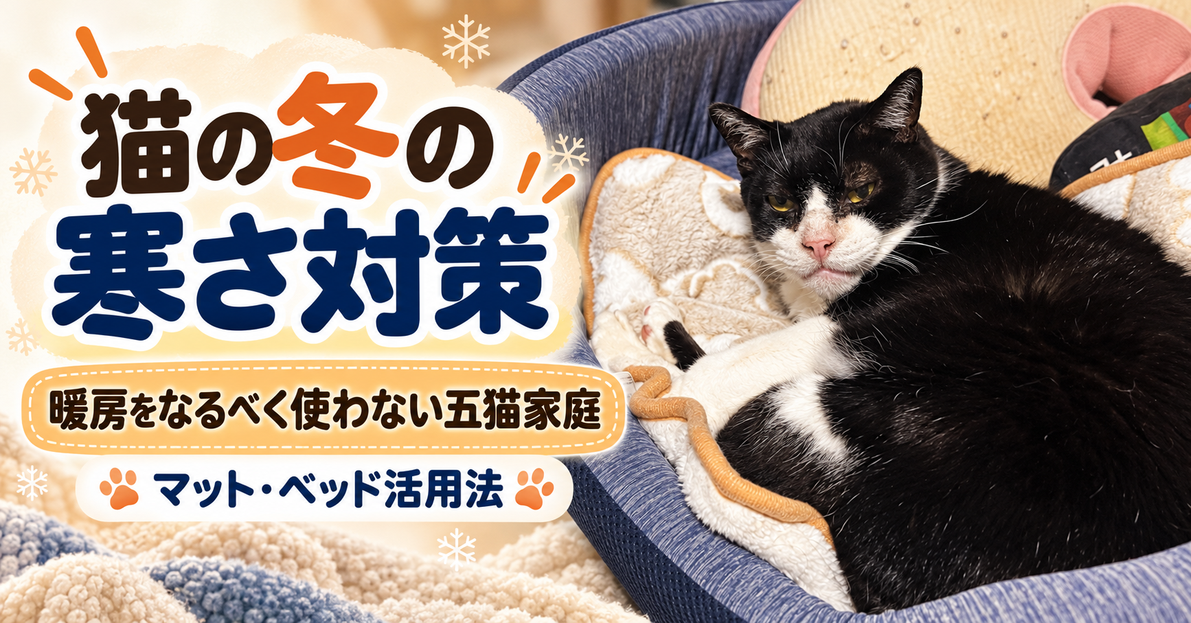 猫の冬の寒さ対策｜暖房をなるべく使わない五猫家庭のマット・ベッド活用法